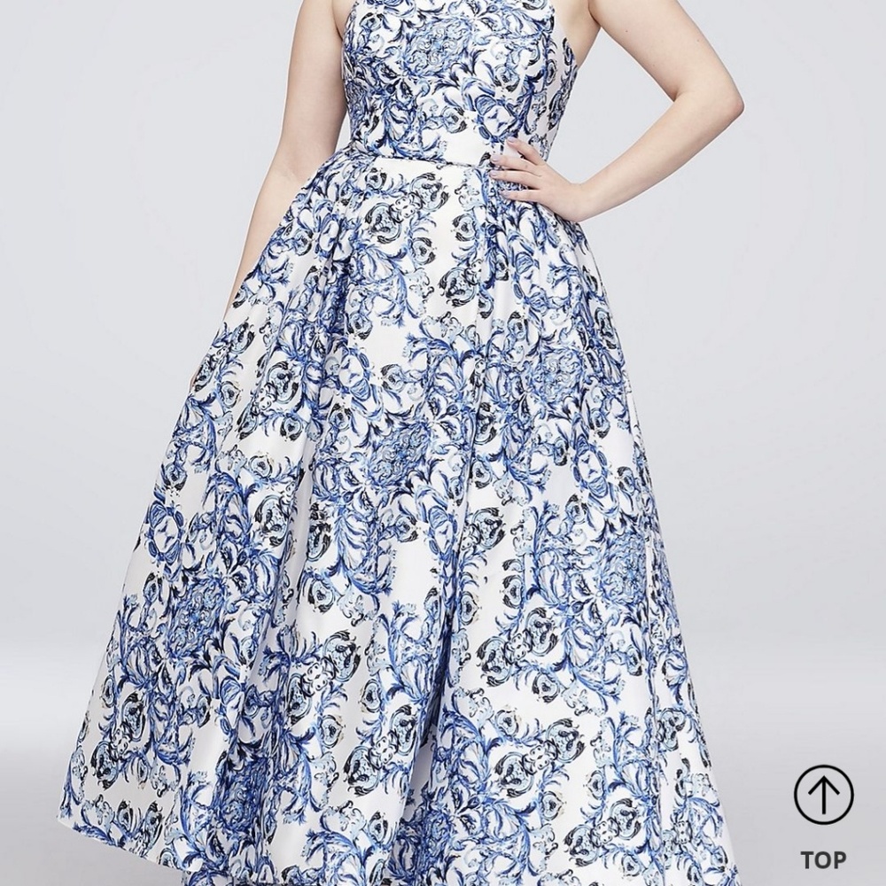 Plus Size prom dress